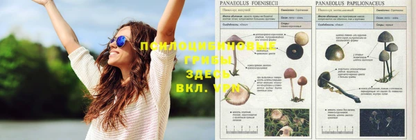 кристаллы Верхний Тагил