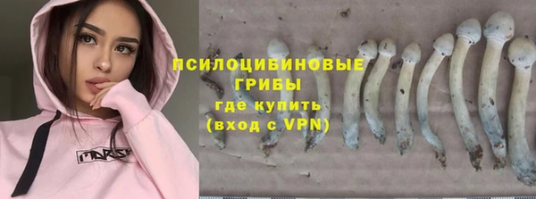 MDMA Premium VHQ Липки