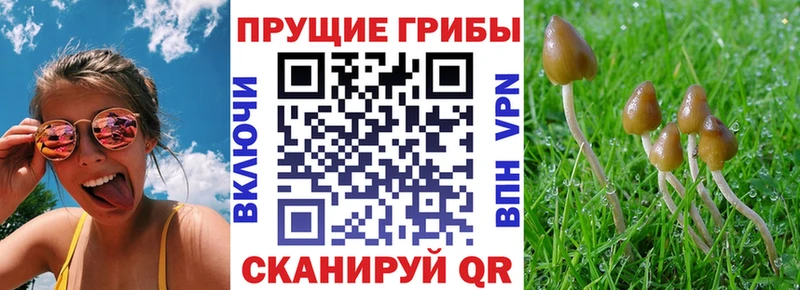 Псилоцибиновые грибы MAGIC MUSHROOMS  Ноябрьск 